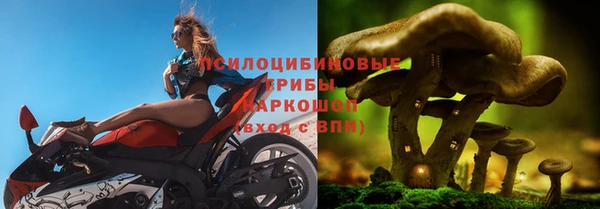 ГАЛЛЮЦИНОГЕННЫЕ ГРИБЫ Вязники