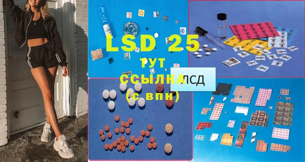 ГАЛЛЮЦИНОГЕННЫЕ ГРИБЫ Вязники