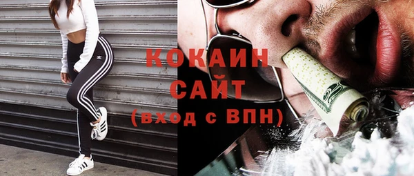 ГАЛЛЮЦИНОГЕННЫЕ ГРИБЫ Вязники