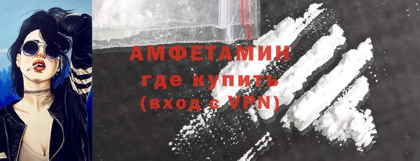 ГАЛЛЮЦИНОГЕННЫЕ ГРИБЫ Вязники