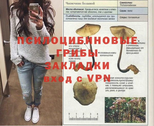 таблы Вяземский