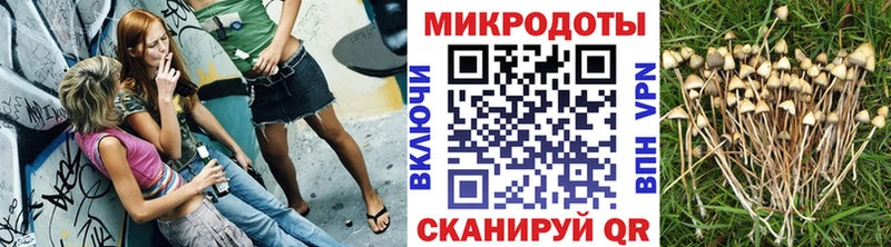 Галлюциногенные грибы мухоморы  Дагестанские Огни 